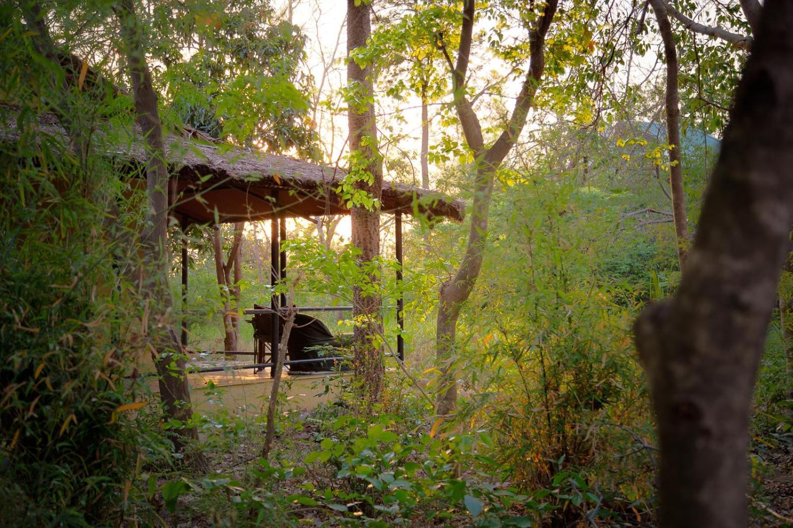 ホテル Jim'S Jungle Retreat ラムナガル エクステリア 写真