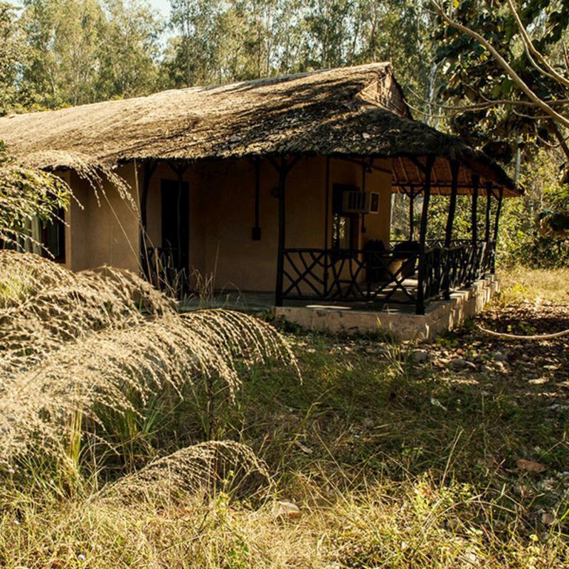 ホテル Jim'S Jungle Retreat ラムナガル エクステリア 写真