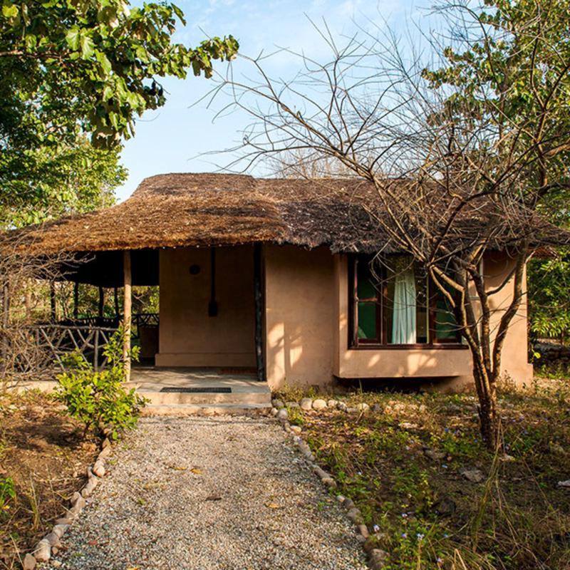 ホテル Jim'S Jungle Retreat ラムナガル エクステリア 写真