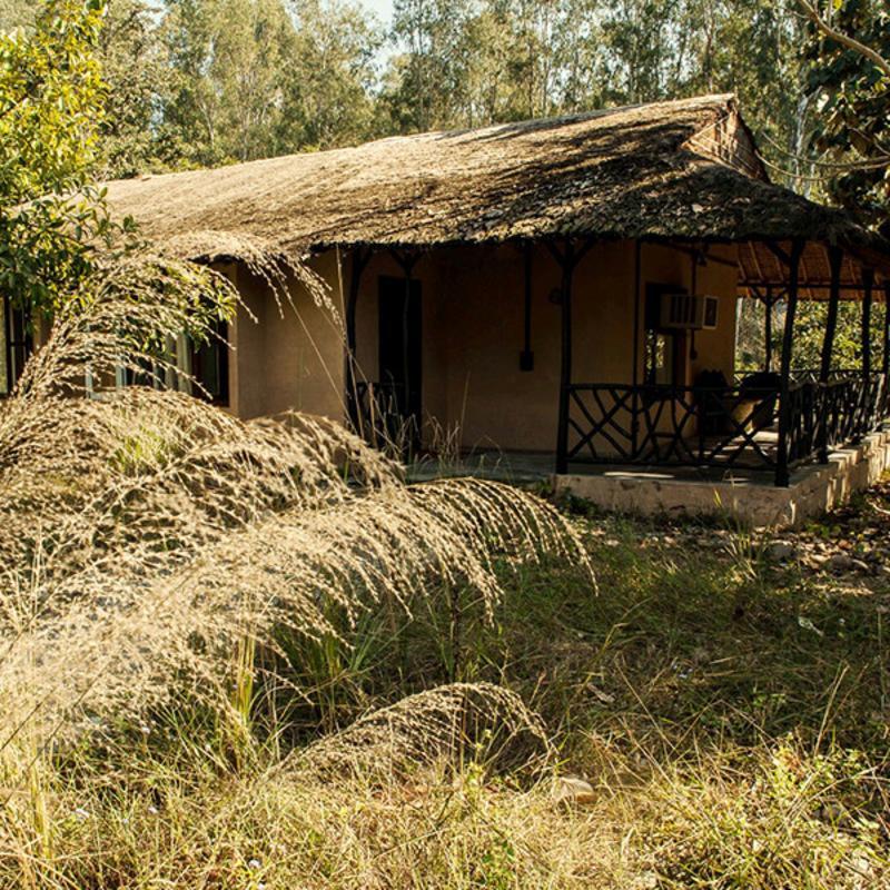 ホテル Jim'S Jungle Retreat ラムナガル エクステリア 写真