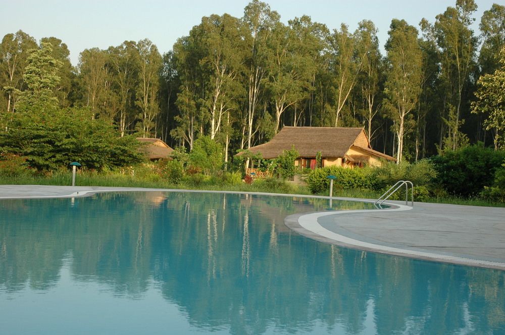 ホテル Jim'S Jungle Retreat ラムナガル エクステリア 写真