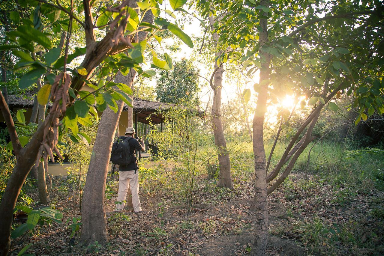 ホテル Jim'S Jungle Retreat ラムナガル エクステリア 写真