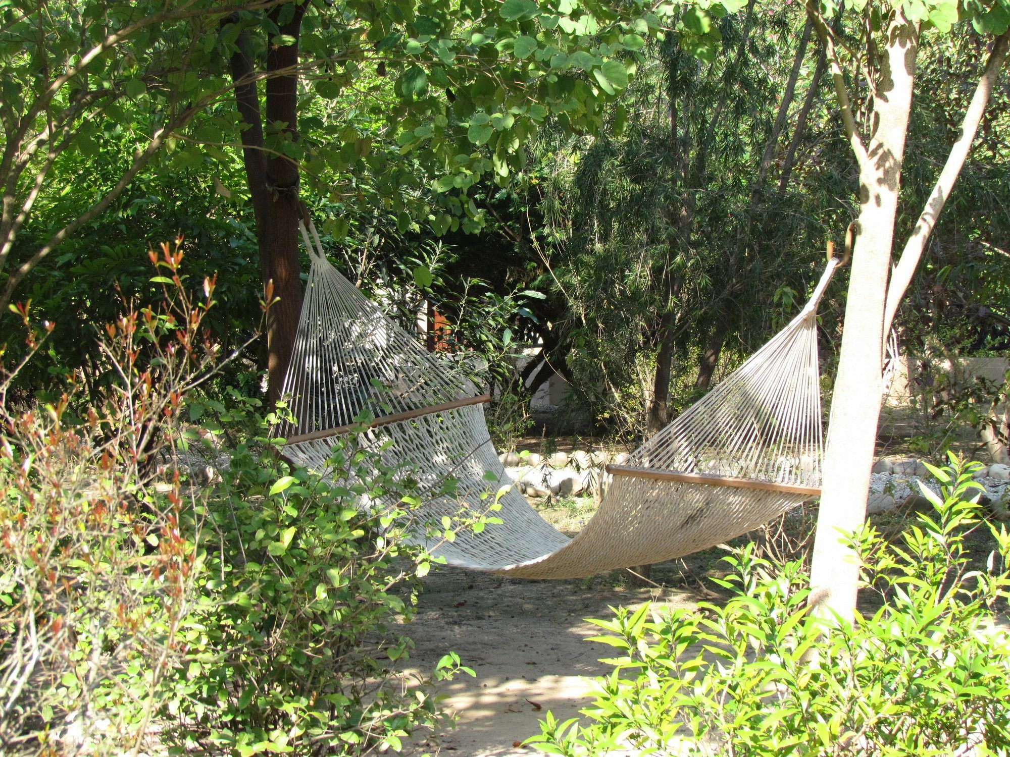 ホテル Jim'S Jungle Retreat ラムナガル エクステリア 写真